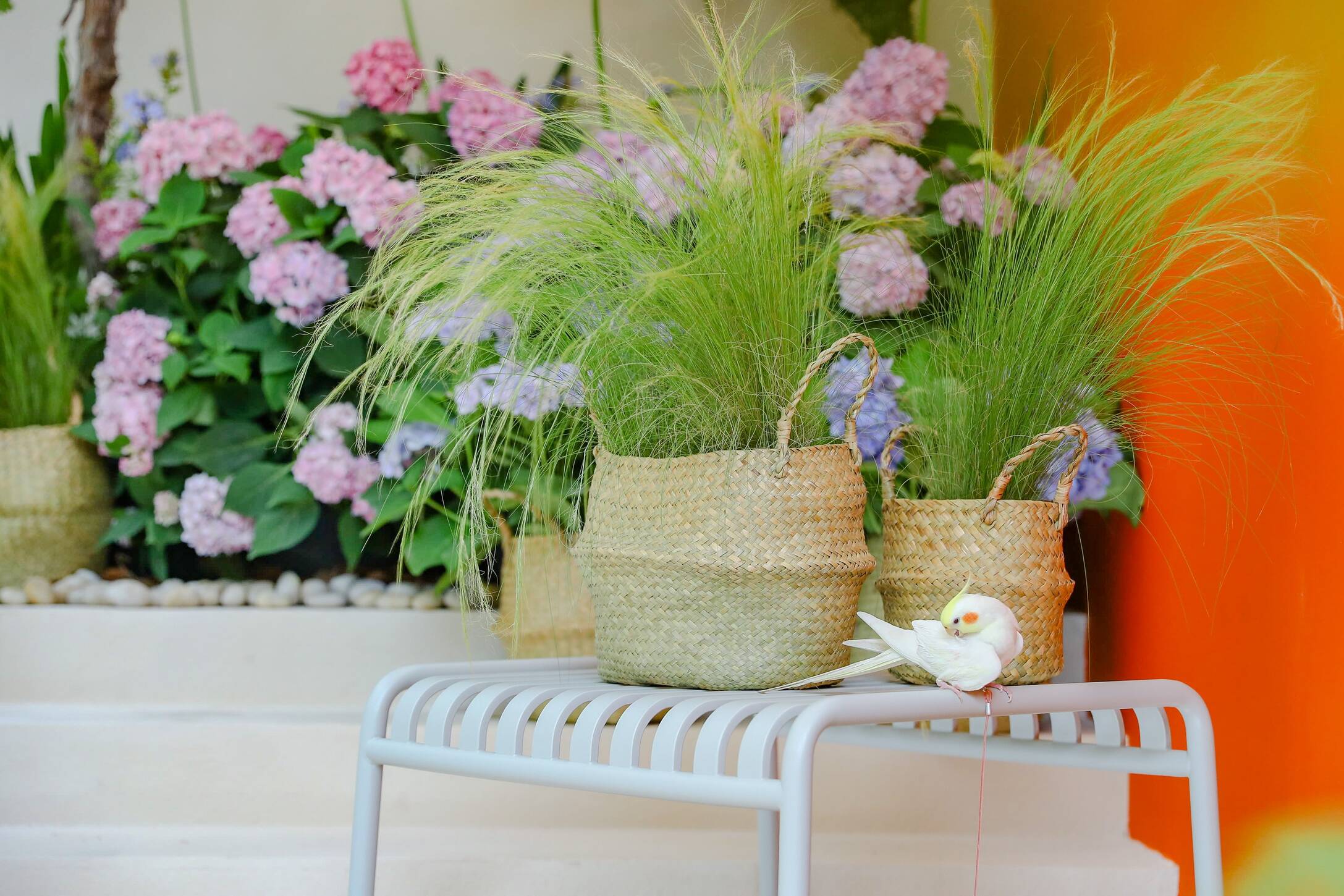 314b5b4b24242a3092a268ffa8e8d63.jpg 色天堂视频